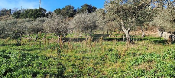 5 غرف نوم منزل في Pombal, Portugal رقم 42354 19