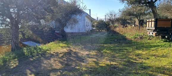 5 غرف نوم منزل في Pombal, Portugal رقم 42354 2