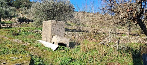 5 غرف نوم منزل في Pombal, Portugal رقم 42354 3