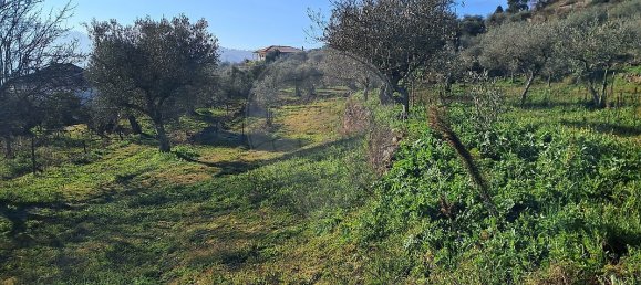 5 غرف نوم منزل في Pombal, Portugal رقم 42354 20