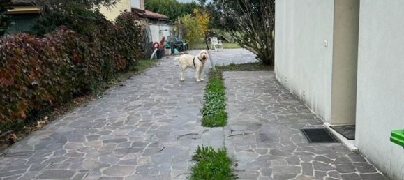 Villa de 12 habitaciónes en Rovigo, Italy No. 64416 38