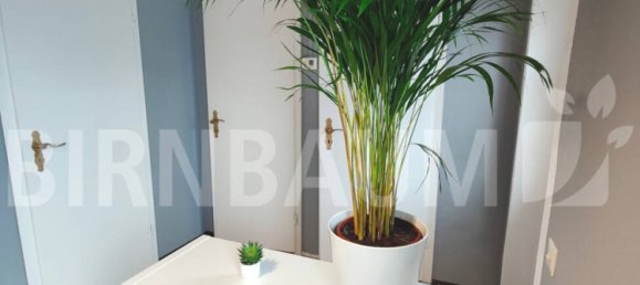 Bungalow de 2 dormitorios en Vorpommern-Greifswald, Germany No. 148359 15