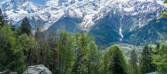 1734m² Hotel in Les Houches, France No. 396349 6