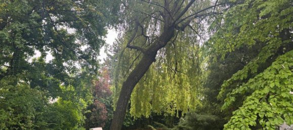 10 rooms Villa in Liesing, Austria No. 143115 42