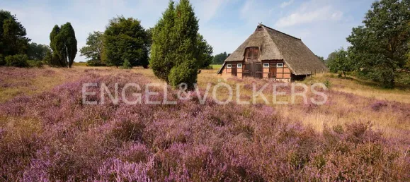 3 chambres Maison à Harburg, Germany No. 167978 2