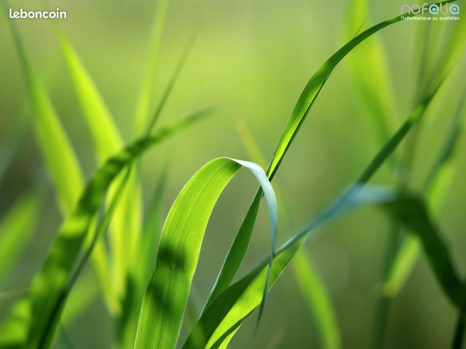 Terreno en Froberville, France 905 m² No. 356910