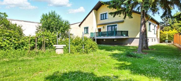 4 rooms Office in Nappersdorf-Kammersdorf, Austria No. 237490 31