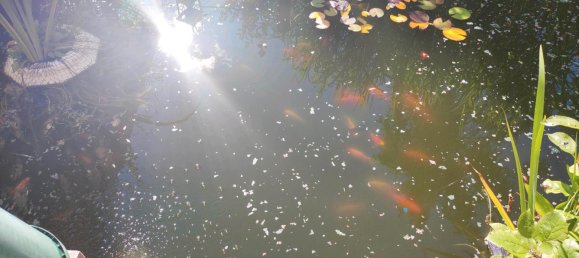 Terreno em Kopenick, Germany N.º 333326 15