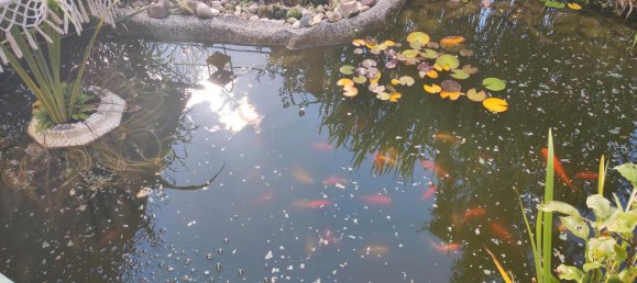 Terreno em Kopenick, Germany N.º 333326 18