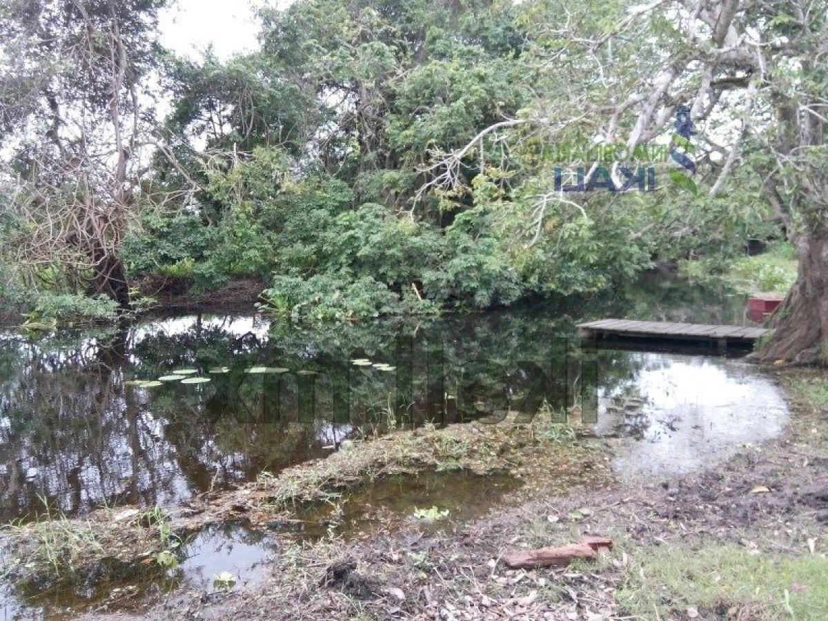  Land in Veracruz, Mexico No. 205154