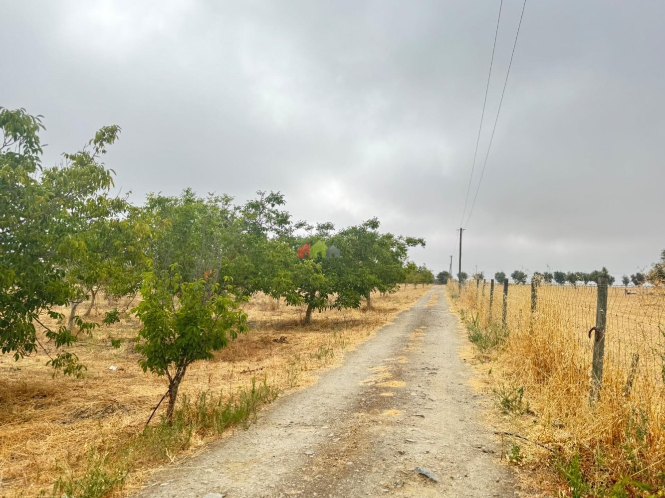 3 bedrooms House in Beja, Portugal No. 239222