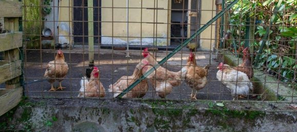 5 bedrooms Villa in Candia Lomellina, Italy No. 132316 43