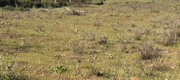  قطعة أرض في Estepona, Spain 200متر مربع رقم 143240 4