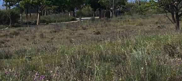  قطعة أرض في Estepona, Spain 200متر مربع رقم 143240 2