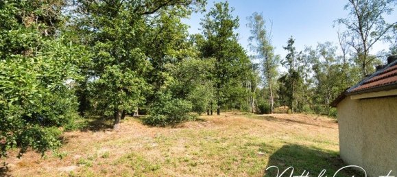 Casa T10 em Mont-Notre-Dame, France N.º 232001 33