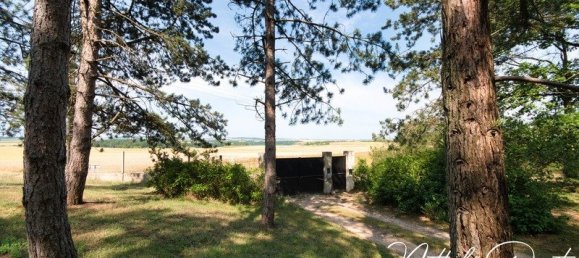 Casa T10 em Mont-Notre-Dame, France N.º 232001 35