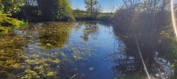 Casa de 3 dormitorios en Orleans, France No. 90332 5