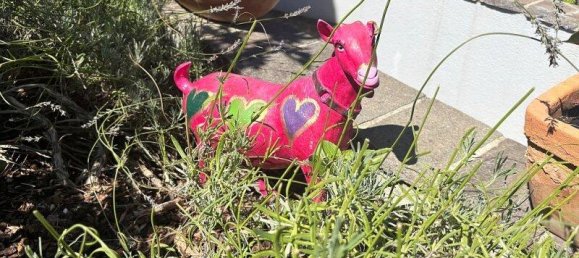 5 rooms Townhouse in Perchtoldsdorf, Austria No. 240206 3