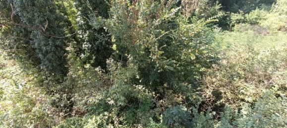 5 rooms House in Castelletto d'Orba, Italy No. 147272 16