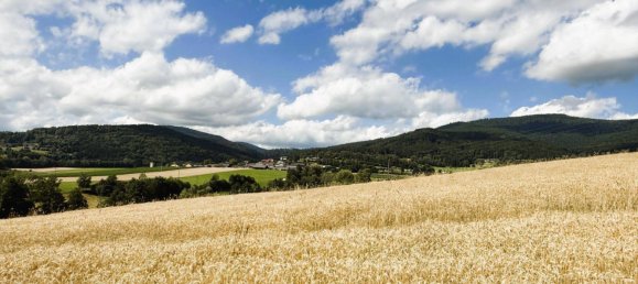 5 chambres Maison à Ulrichsberg, Austria No. 230150 30