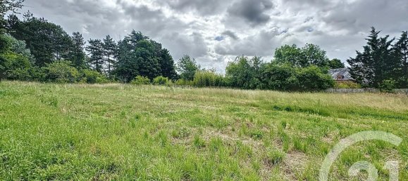 Casa de 3 dormitorios en Montrieux-en-Sologne, France No. 64273 22