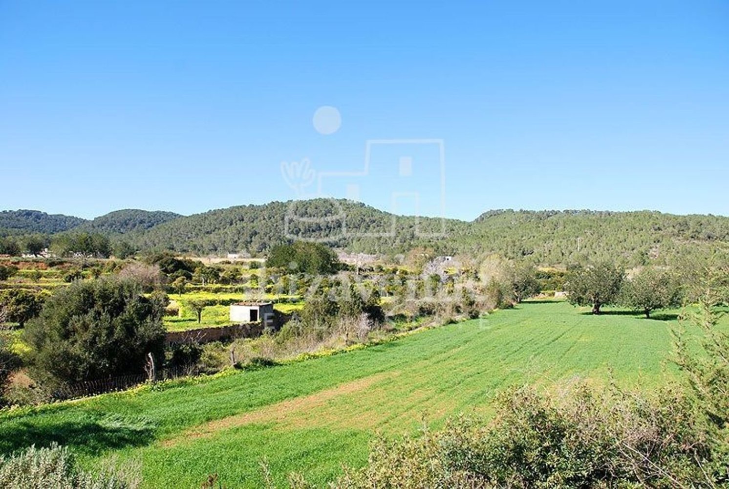  Land in Ibiza, Spain No. 163702