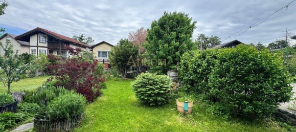 2 rooms House in Liesing, Austria No. 184546 3