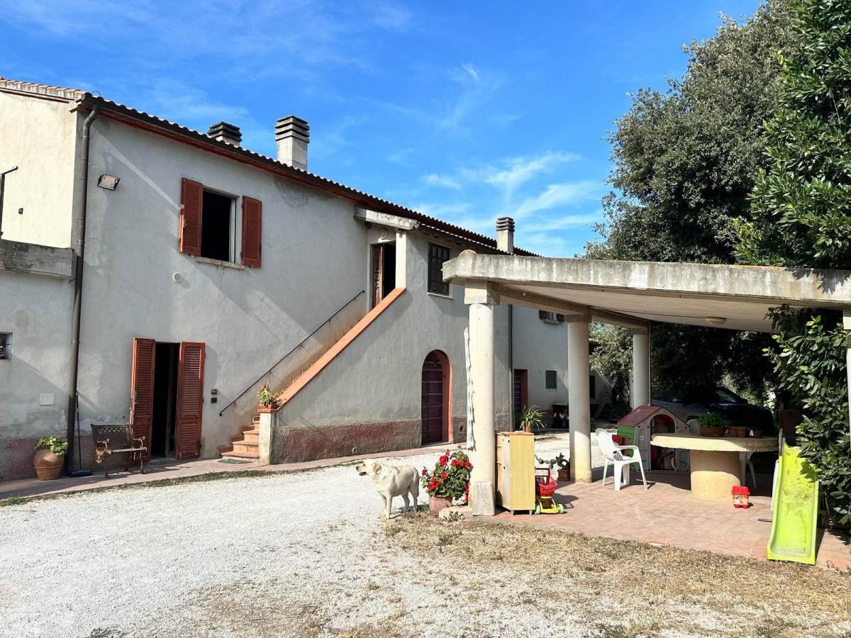 2 bedrooms House in Campiglia Marittima, Italy No. 1340