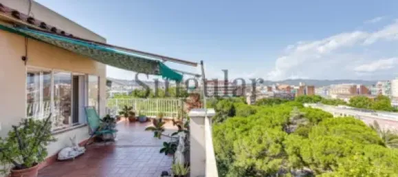 4 bedrooms Penthouse in Sant Andreu, Spain No. 142254 21