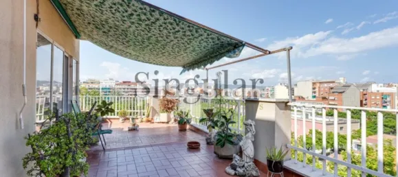 4 bedrooms Penthouse in Sant Andreu, Spain No. 142254 16