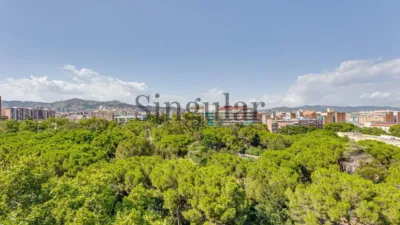 4 bedrooms Penthouse in Sant Andreu, Spain No. 142254