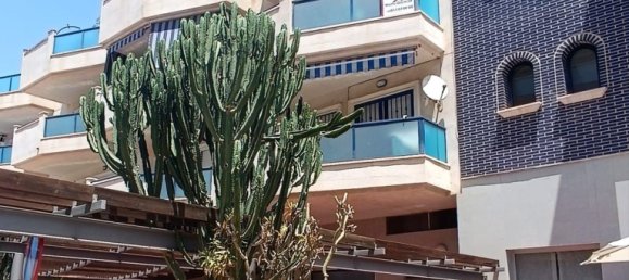 2 bedrooms Apartment in La Zenia, Spain No. 157828 26