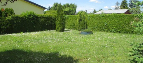 3-Zimmer Bungalow in Steinbrunn, Austria, Nr. 215356 4