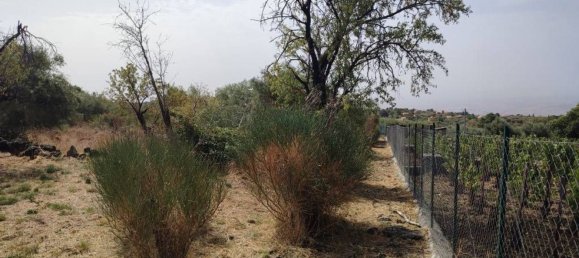 Terreno em Santa Maria di Licodia, Italy 4320 m² N.º 170035 9