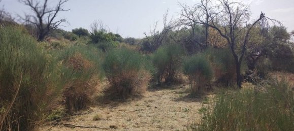 Terreno em Santa Maria di Licodia, Italy 4320 m² N.º 170035 5