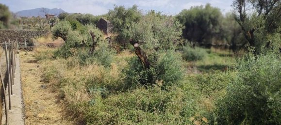 Terreno em Santa Maria di Licodia, Italy 4320 m² N.º 170035 7