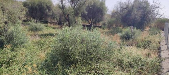 Terreno em Santa Maria di Licodia, Italy 4320 m² N.º 170035 6