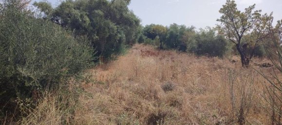 Terreno em Santa Maria di Licodia, Italy 4320 m² N.º 170035 10