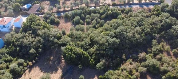 Grundstück in Ansiao, Portugal, Nr. 351380 2