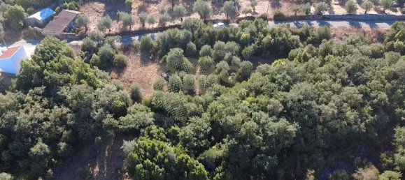 Grundstück in Ansiao, Portugal, Nr. 351380 3