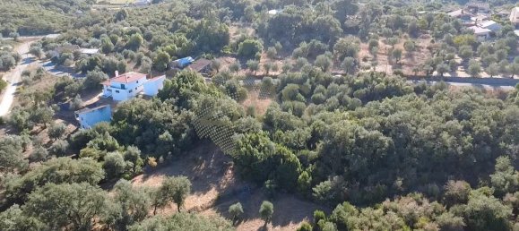 Grundstück in Ansiao, Portugal, Nr. 351380 6