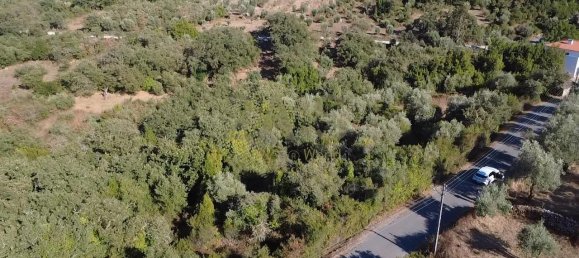 Grundstück in Ansiao, Portugal, Nr. 351380 4