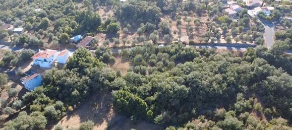 Grundstück in Ansiao, Portugal, Nr. 351380 5