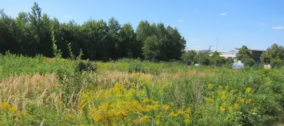  Land in Leipzig, Germany No. 349606 2