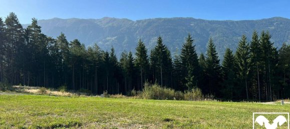  Land in Spittal an der Drau, Austria No. 118866 7
