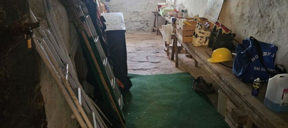 3 rooms House in Rabbi, Italy No. 71292 28