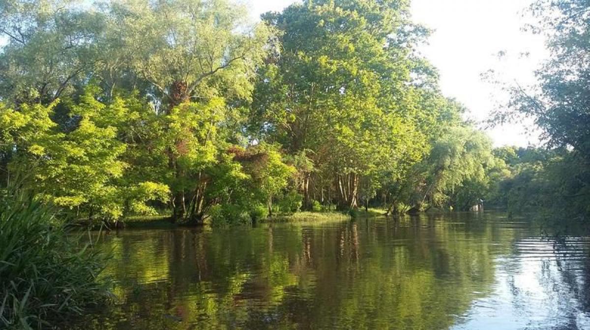  Land in Tigre, Argentina No. 116114