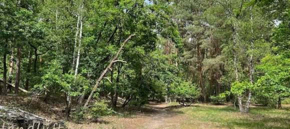 Grundstück in Havelland, Germany, Nr. 296056 12