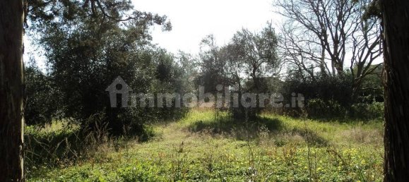 3 غرف نوم فيلا في Caltagirone, Italy رقم 262946 3