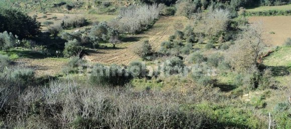 3 غرف نوم فيلا في Caltagirone, Italy رقم 262946 8